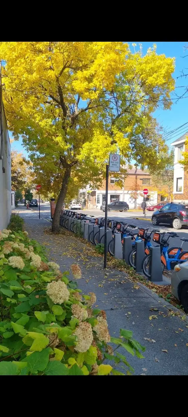 chambre à louer pour le premier avril. - Photo 6