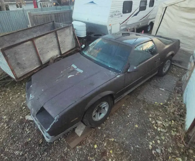 1984 Camaro Z28 - Photo 3