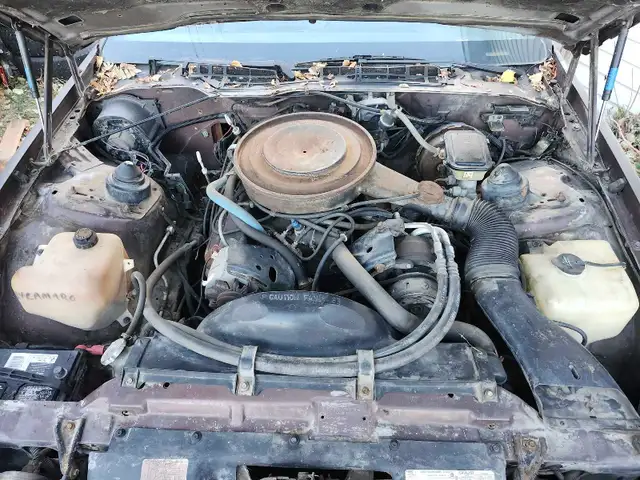 1984 Camaro Z28 - Photo 6