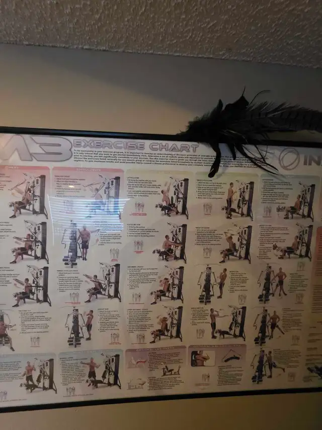 M3 Inspire Home Gym - Photo 8