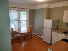 Furnished all inclusive 1 bedroom apartment Downtown Moncton