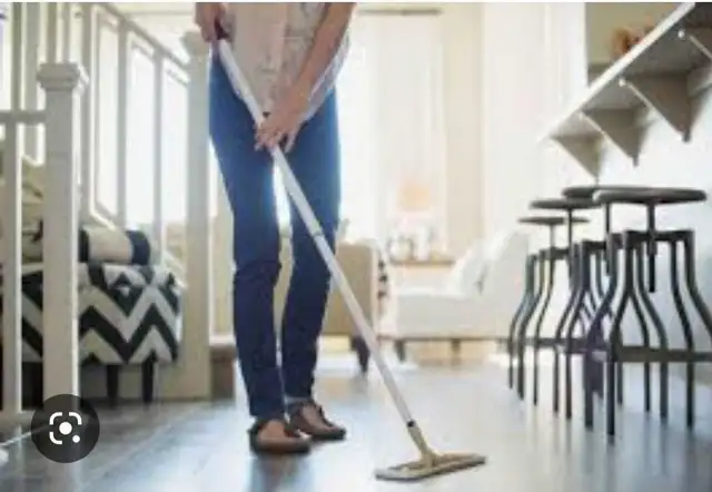 Sparkle & Shine Cleaning Service