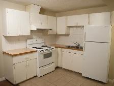 Large 1200sf 2BR WALKOUT Bsmt-NEAR LRT-Huge BR,STORAGE rm-pet ok