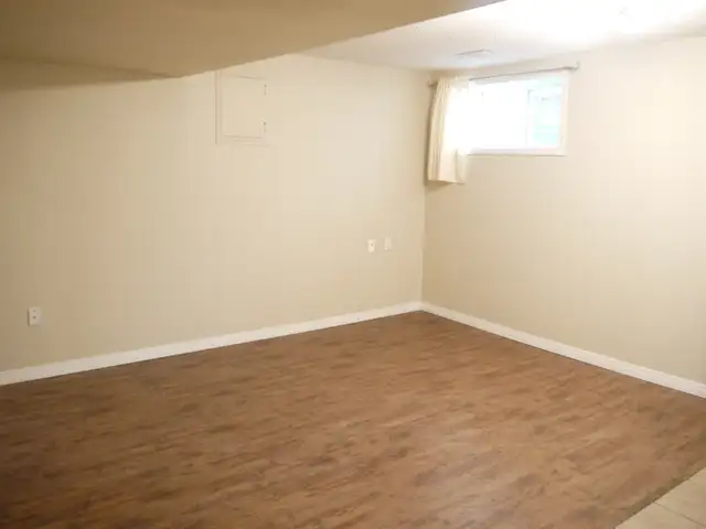 Large 1200sf 2BR WALKOUT Bsmt-NEAR LRT-Huge BR,STORAGE rm-pet ok - Photo 3