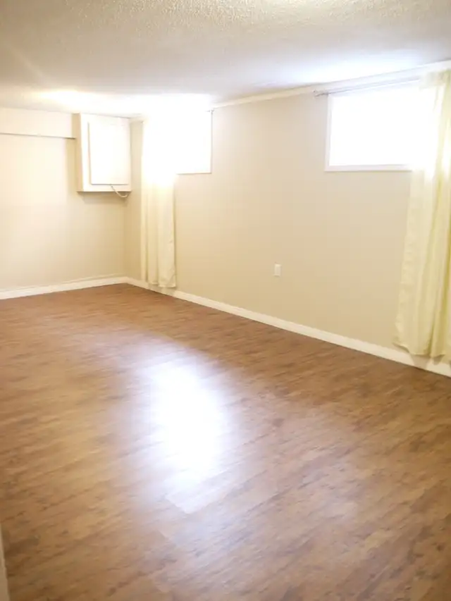 Large 1200sf 2BR WALKOUT Bsmt-NEAR LRT-Huge BR,STORAGE rm-pet ok - Photo 4