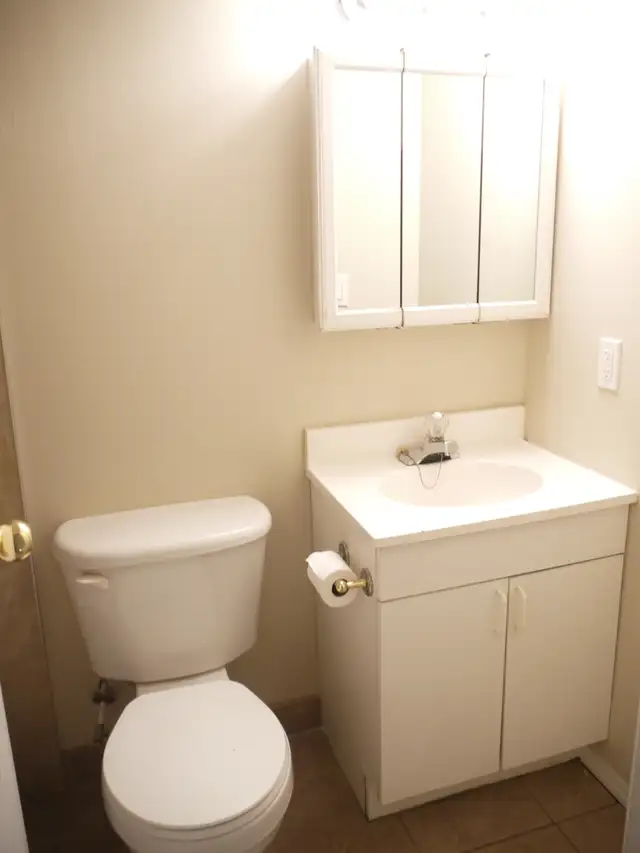 Large 1200sf 2BR WALKOUT Bsmt-NEAR LRT-Huge BR,STORAGE rm-pet ok - Photo 7