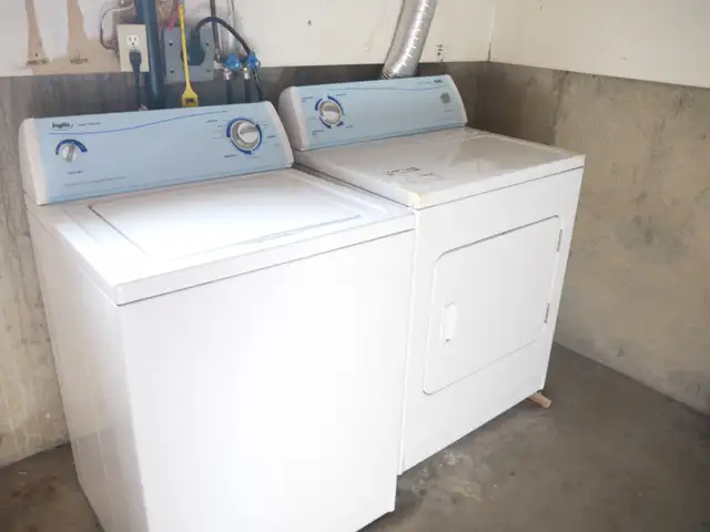 Large 1200sf 2BR WALKOUT Bsmt-NEAR LRT-Huge BR,STORAGE rm-pet ok - Photo 8