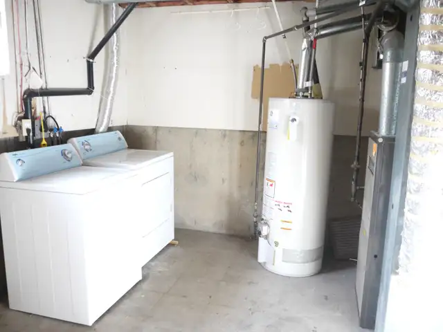 Large 1200sf 2BR WALKOUT Bsmt-NEAR LRT-Huge BR,STORAGE rm-pet ok - Photo 10