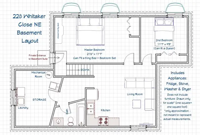 Large 1200sf 2BR WALKOUT Bsmt-NEAR LRT-Huge BR,STORAGE rm-pet ok - Photo 11