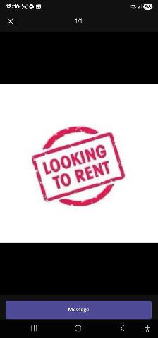 Looking for Rent
