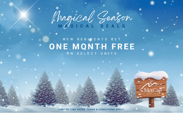 1 Bedroom Apartment for Rent - 155 Wellesley Street East