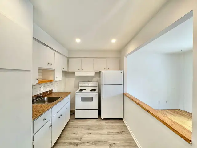 1 CH - 1 SDB - Montréal - $9,991 /mo - Photo 2