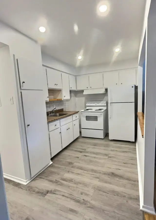 1 CH - 1 SDB - Montréal - $9,991 /mo - Photo 3