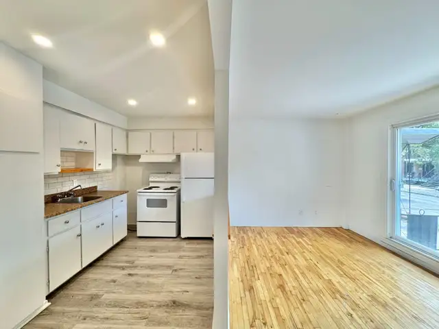 1 CH - 1 SDB - Montréal - $9,991 /mo - Photo 4