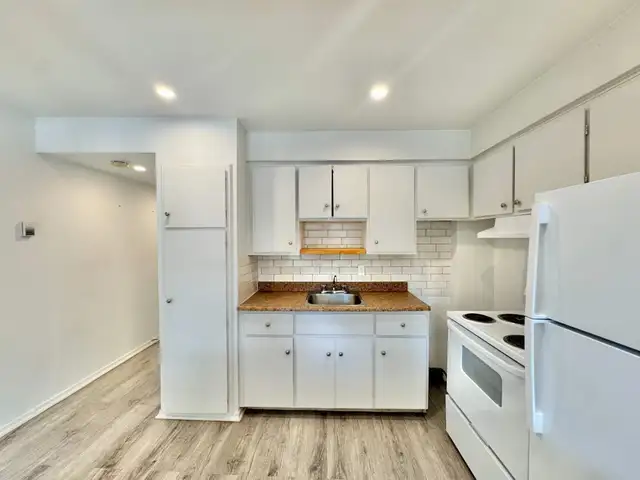 1 CH - 1 SDB - Montréal - $9,991 /mo - Photo 5