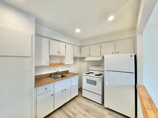 1 CH - 1 SDB - Montréal - $9,991 /mo - Photo 6
