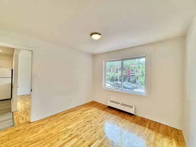 1 CH - 1 SDB - Montréal - $9,991 /mo - Photo 8