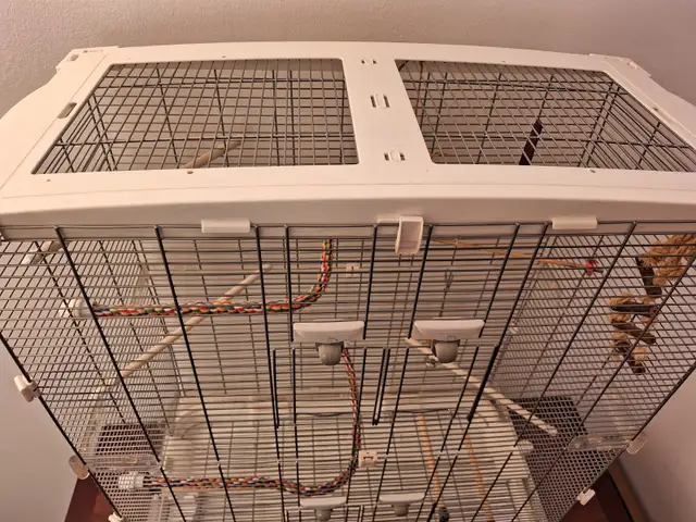 Cage a oiseau Vision  60 $ - Photo 5