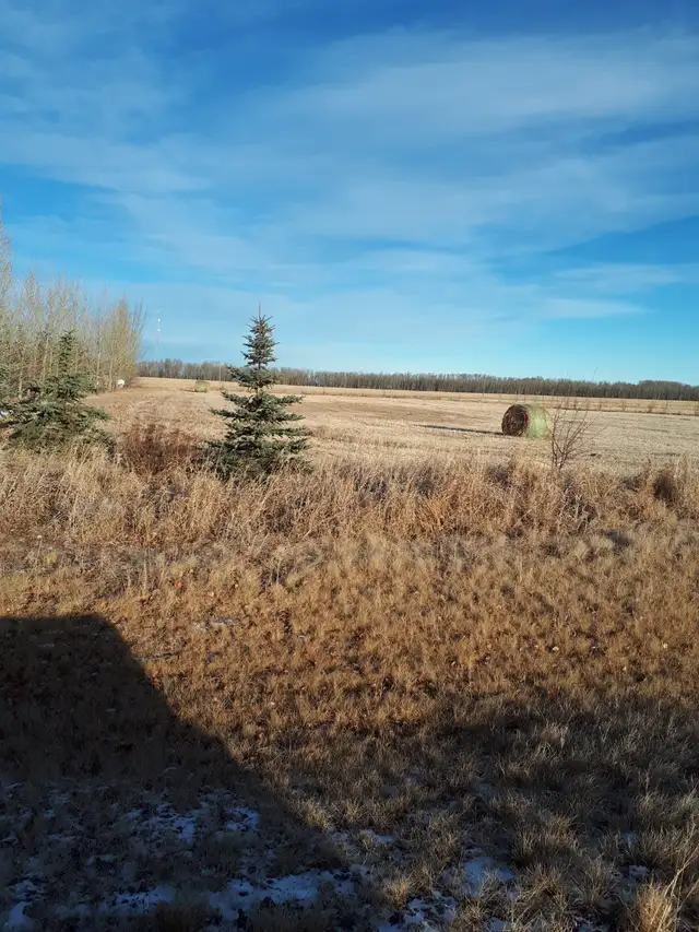 2 acre lots for sale