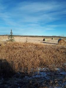 2 acre lots for sale - Photo 2