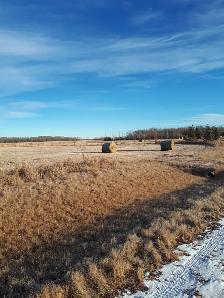 2 acre lots for sale - Photo 3