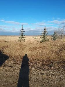 2 acre lots for sale - Photo 4