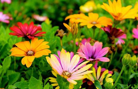 Esmerelda painting and contracting - Photo 3