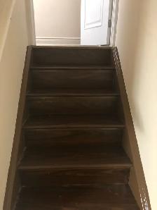 Full Basement/ Rooms for Rent