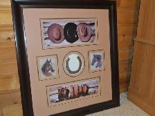 Western Horse Picture