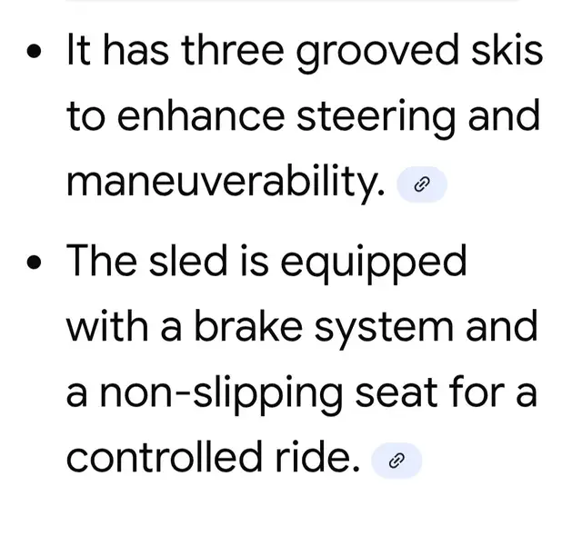 KIDS SNOW SLEDS( SKI-DOO MOTION X) - Photo 5