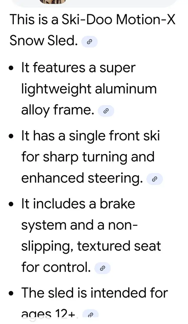 KIDS SNOW SLEDS( SKI-DOO MOTION X) - Photo 8