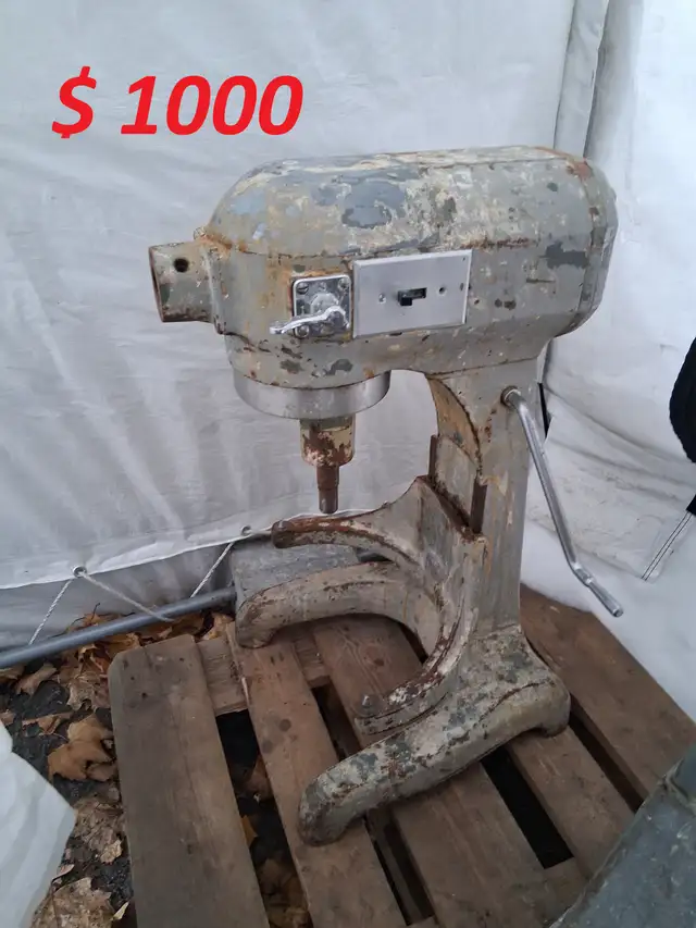 Commercial Dough Mixer / Mélangeur à pâte commercial