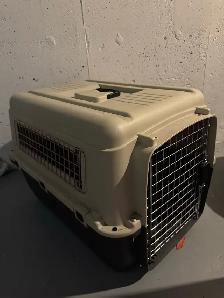 dog crate