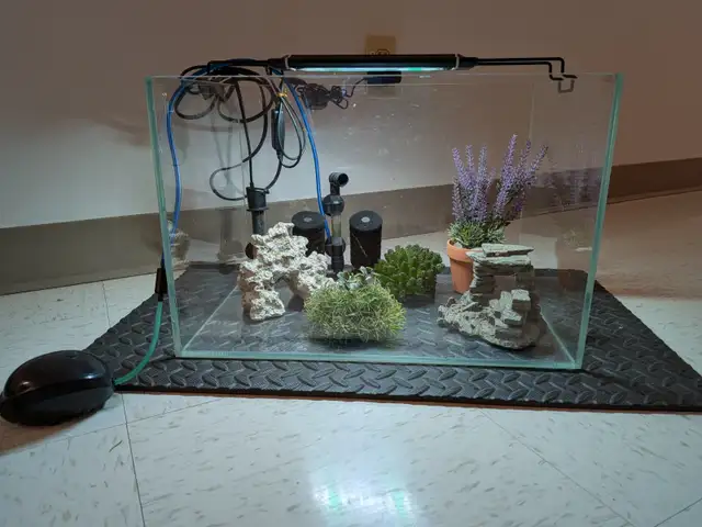 Aquarium sans rebord (rimless) 11 gallons