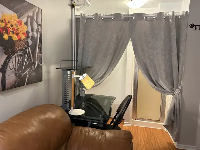 Ottawa Centretown–Tiny Heaven Furnished Basement Studio All Inc - Photo 3