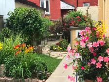 Ottawa Centretown–Tiny Heaven Furnished Basement Studio All Inc - Photo 8