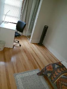 1 Bed room, mouse-free - Photo 2