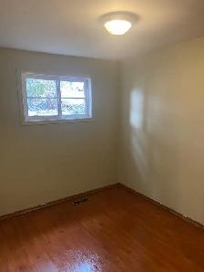 Four bedroom house for rent in Nelson - Photo 5