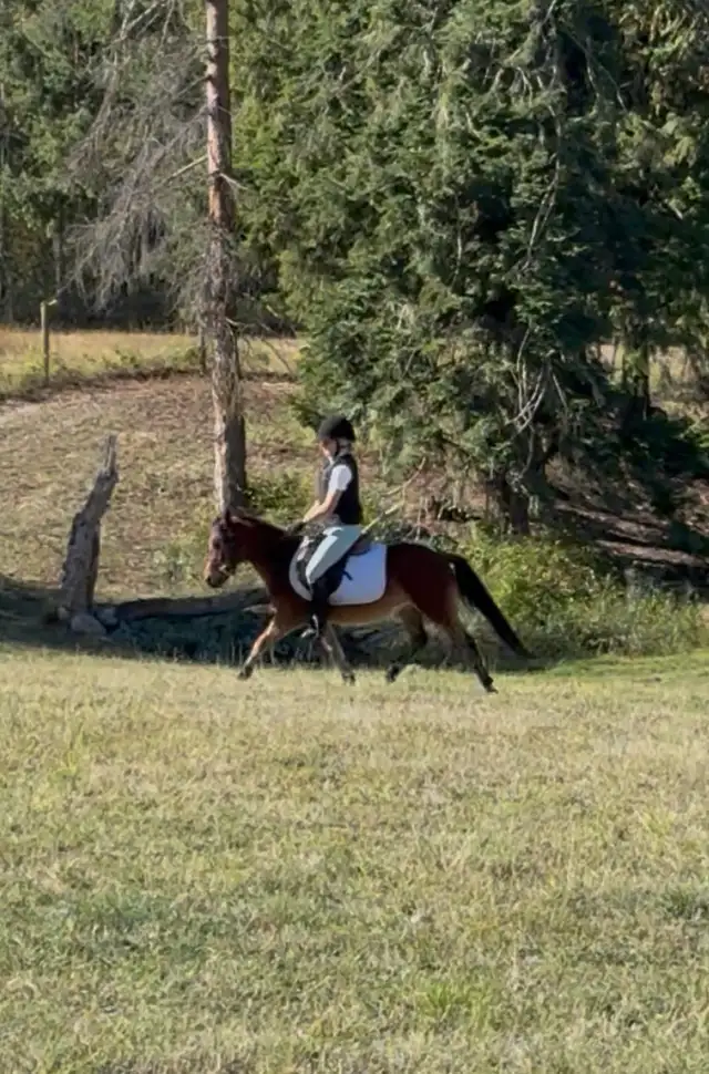 2021 Awesome kids pony