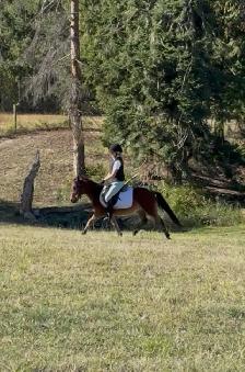 2021 Awesome kids pony