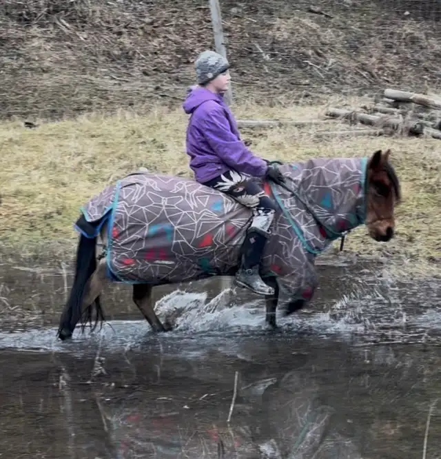 2021 Awesome kids pony - Photo 2