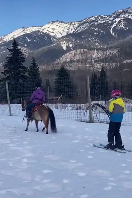 2021 Awesome kids pony - Photo 6