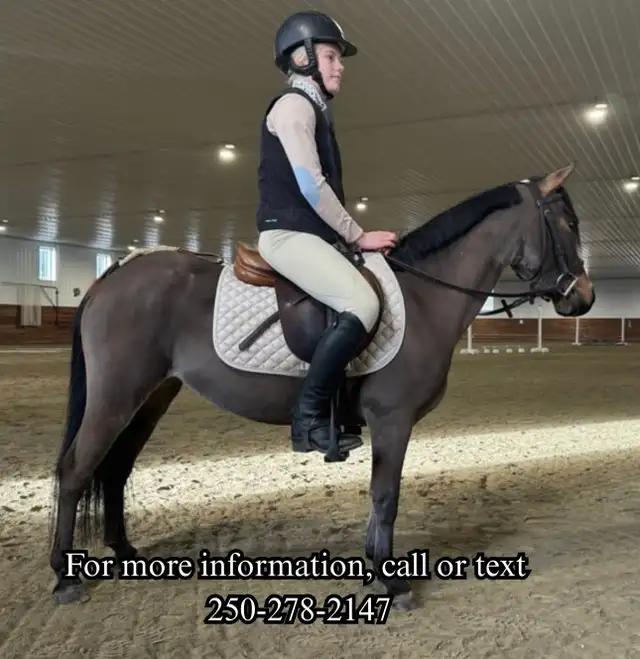 2021 Awesome kids pony - Photo 7