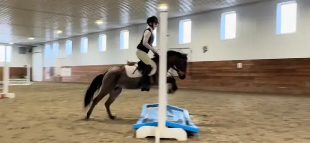 2021 Awesome kids pony - Photo 8