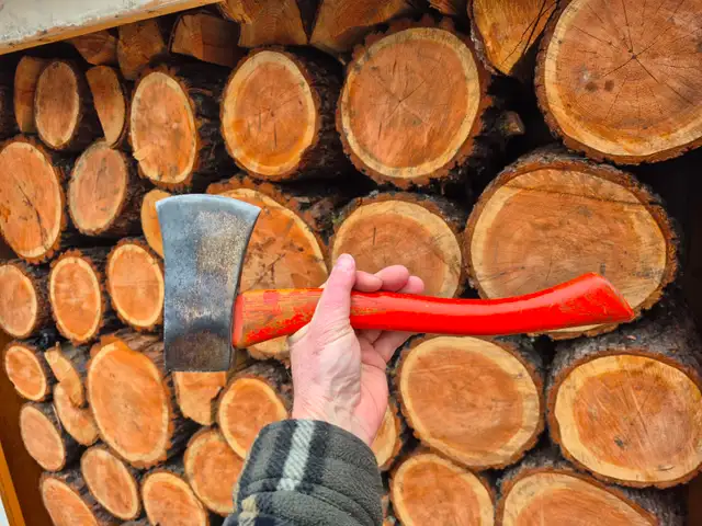 Pair of vintage Canadian hatchets on original handles - Photo 3