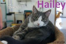 HARVEST SKY ANIMAL RESCUE - 16 ADOPTABLES!!! - Photo 6