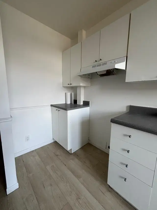 3 1/2 rosemont proche masson, electros et wifi inclus - Photo 6