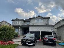 1 Bedroom Basement Apartment in Southeast Barrie