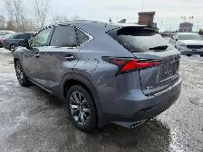 2020 Lexus NX NX 300 AWD F-SPORT 2 - Photo 7