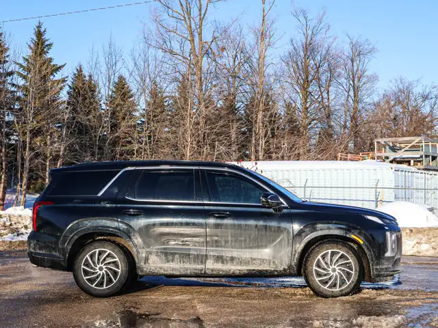 2025 Hyundai Palisade Ultimate Calligraphy Night- Sunroof - Photo 4